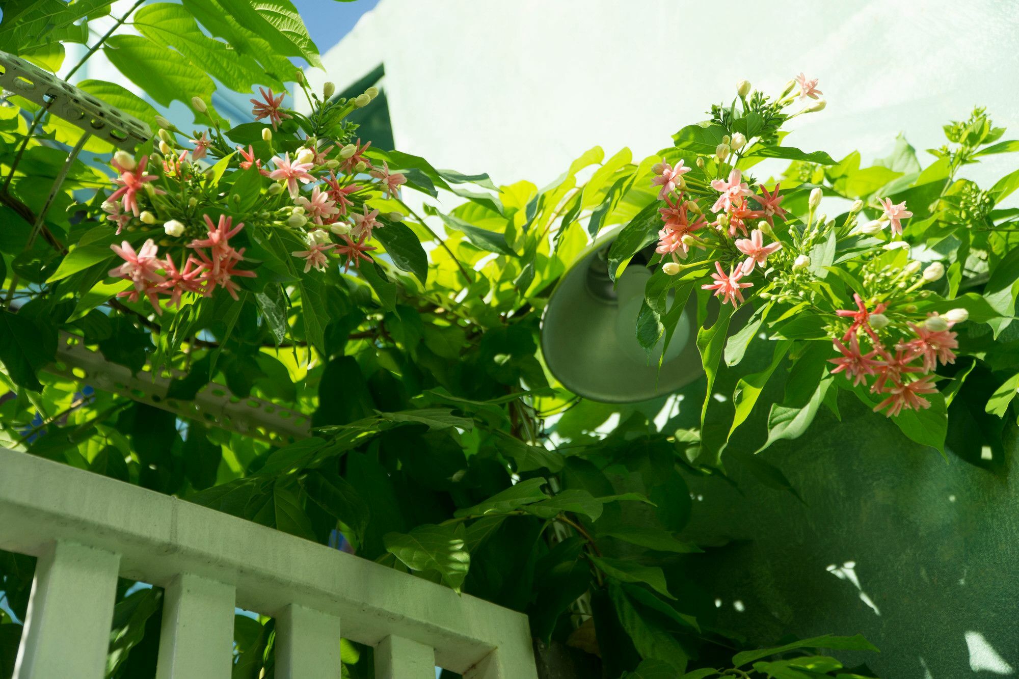 Nha Homestay Danang Exterior photo